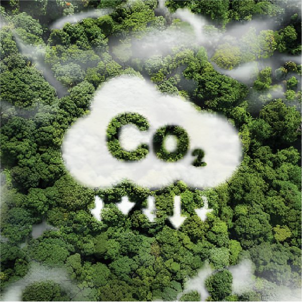 Giảm tiêu thụ năng lượng, giảm chi phí vận hành và giảm phát thải CO2