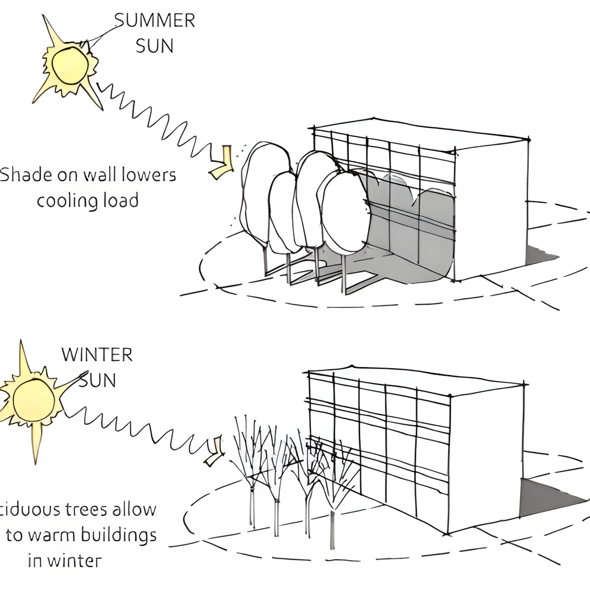 Passive Design Strategies
